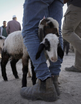 Pictures of the Week Global Photo Gallery