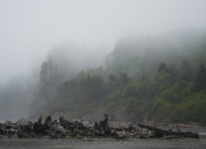 Climate Migration Quinault Nation