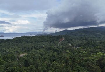 Indonesia Deforestation Nickel Smelters