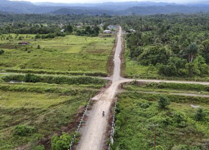 Indonesia Deforestation Nickel Smelters