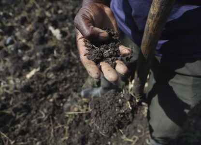 Kenya Dying Soils