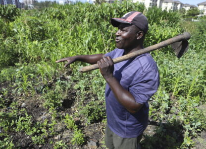 Kenya Dying Soils