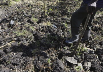 Kenya Dying Soils