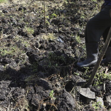 Kenya Dying Soils