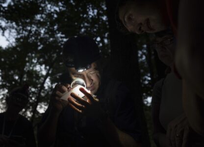 Climate Fireflies Flickering Future